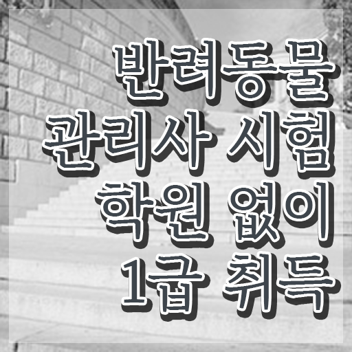  반려동물목욕관리사 , 반려동물관리사 자격증 15일 만에 취득했던 후기