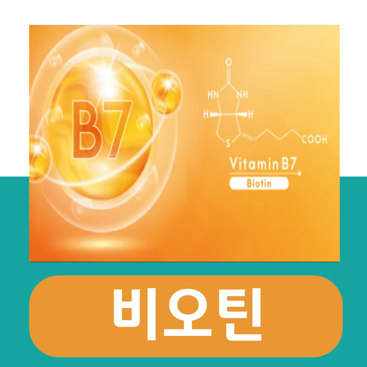  비오틴 효능 부작용, 콜라겐과 시너지 효과는?