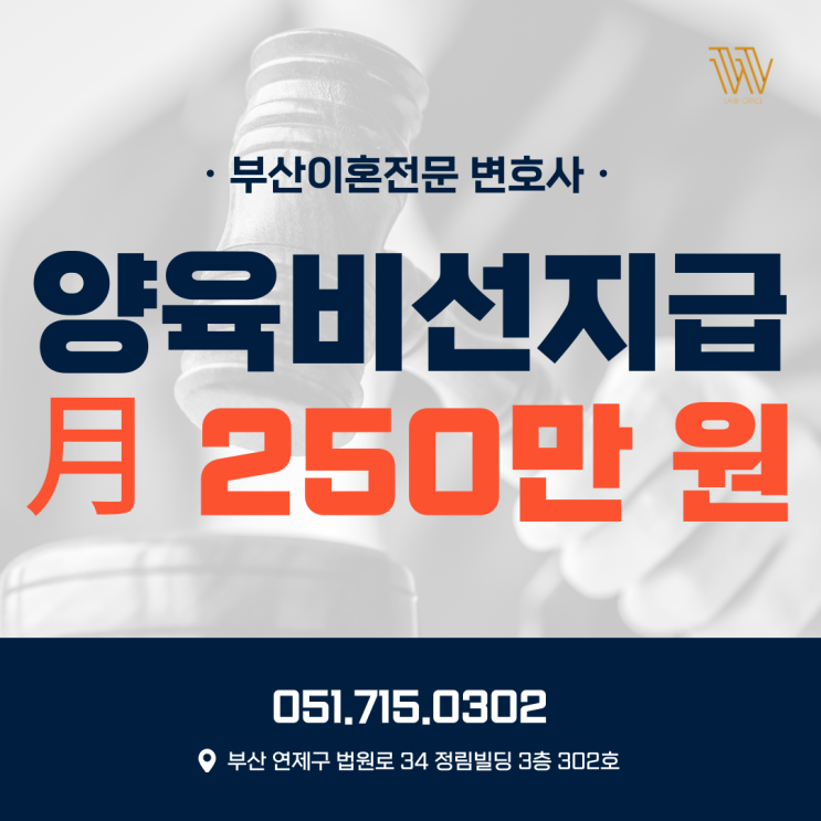  부산이혼전문변호사 양육비 선지급 신청 가능한가요?