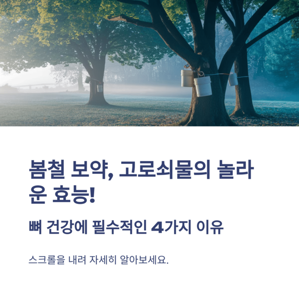  고로쇠물 효능 4가지, 뼈 건강에 꼭 필요한 봄철 영양 음료