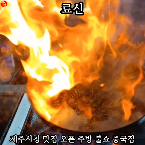 제주시청 맛집 제주법원 가까운 중국집 추천 료신