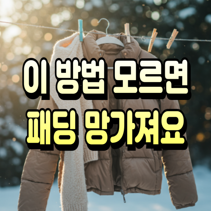  겨울 패딩 세탁기 건조기 사용법 완벽 가이드