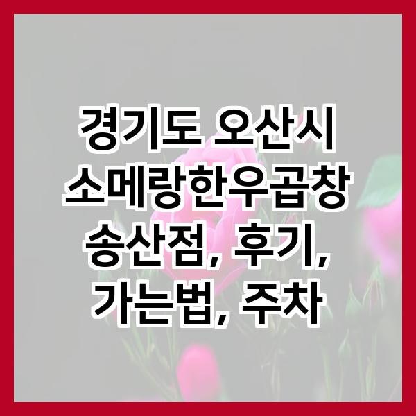 소메랑한우곱창 송산점 사진 2