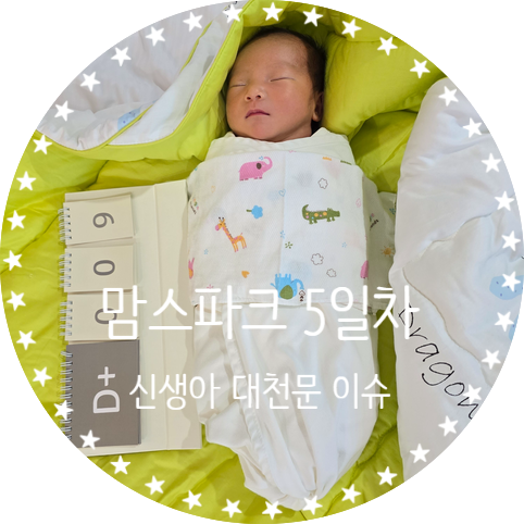  맘스파크 조리원5일차 신생아 대천문 넓을 때