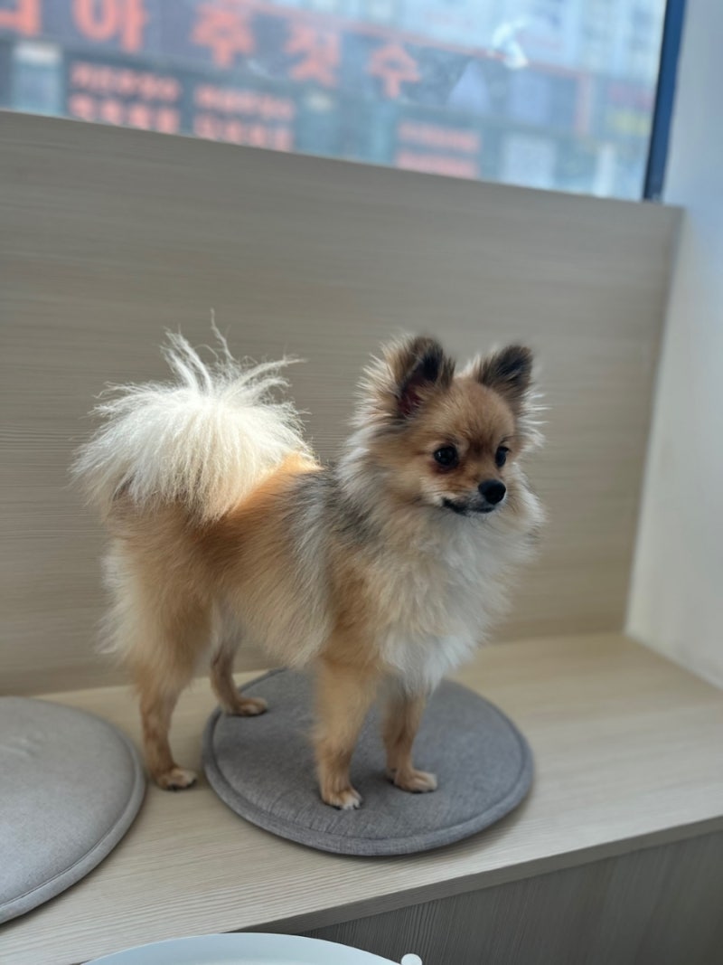 사진 5