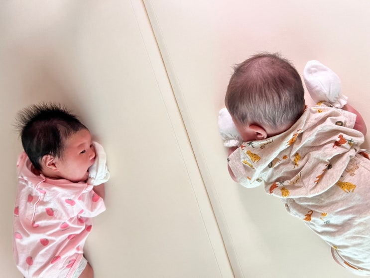  쌍둥이성장일기_ 조리원 퇴출? 후 현실적인 둥이 육아 일상 자리 잡아가는 중