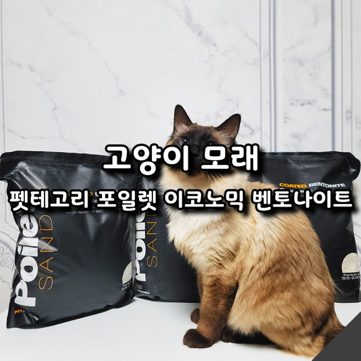  먼지없는 가성비 고양이모래, 펫테고리 포일렛 이코노믹 벤토나이트