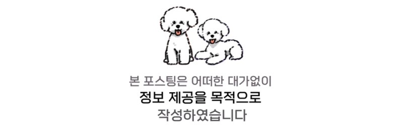 사진 8