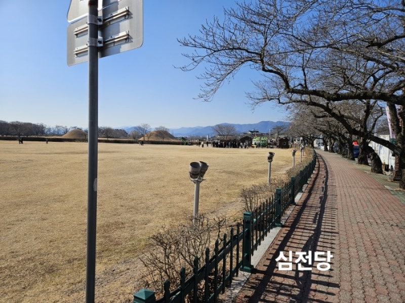 사진 5