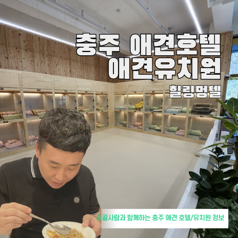 사진 3