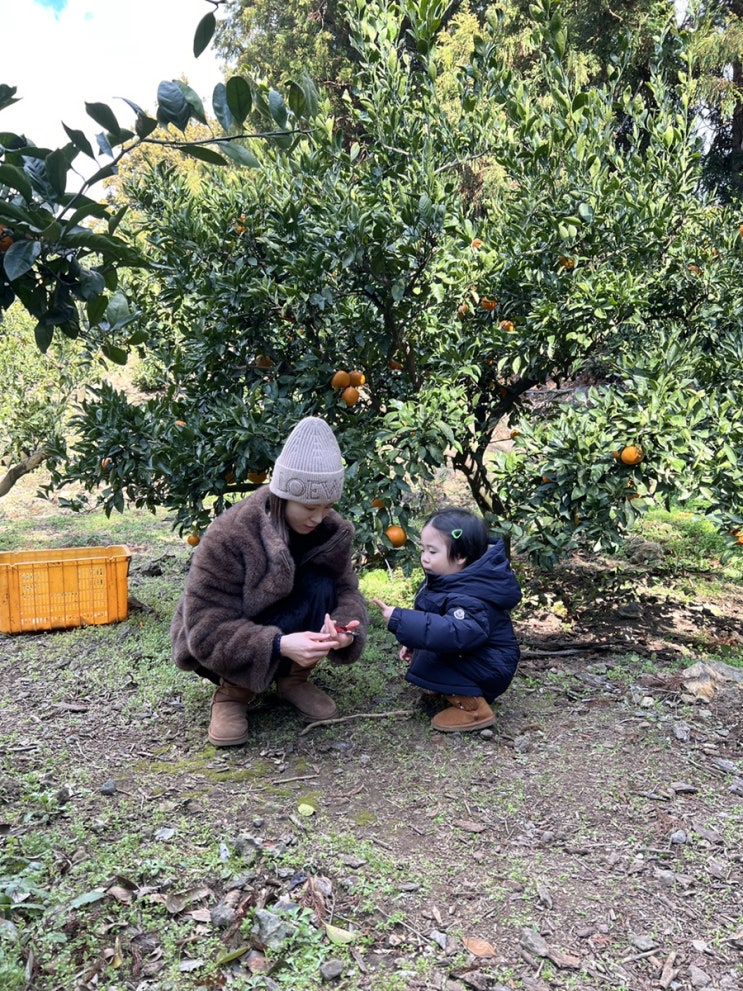  아이랑 함께 겨울 제주도 자유여행 2박 3일 코스 첫째 날