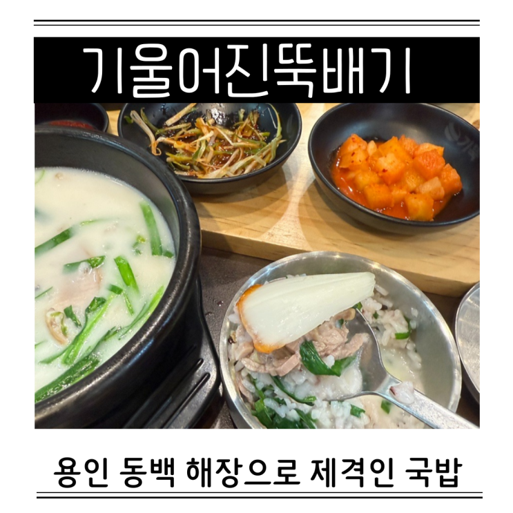  용인 해장국 맛집 기울어진뚝배기 동백역국밥 주차정보