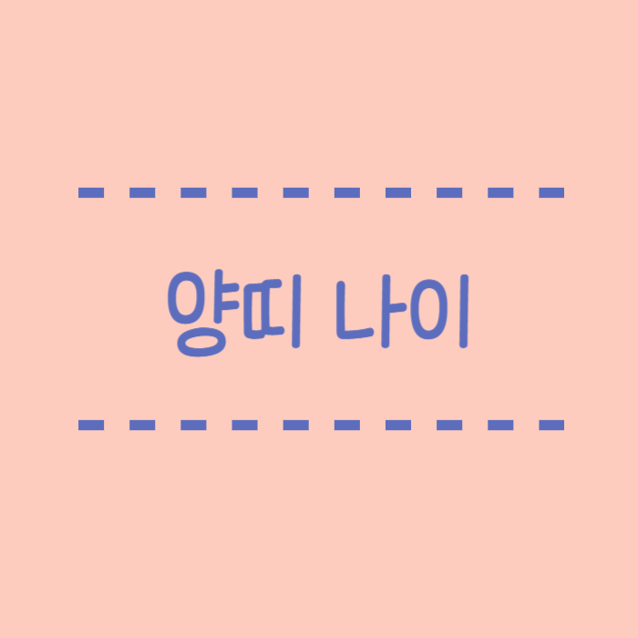  양띠 나이,2024년, 2025년, 삼재, 2월 운세, 3월 운세
