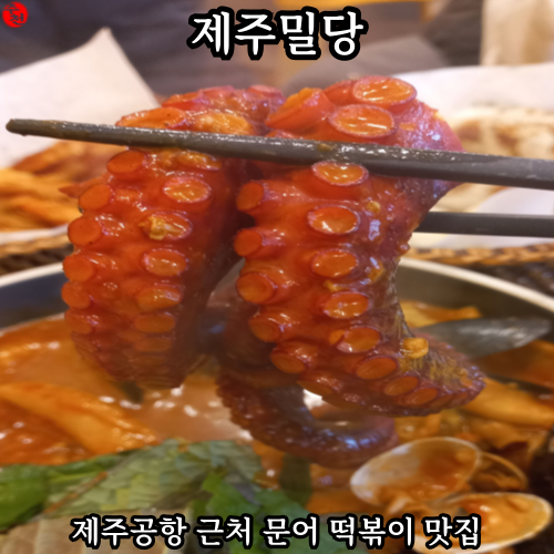 제주공항 근처 맛집 제주 문어떡볶이 추천 제주밀당