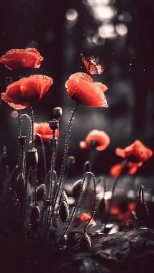 한알의 약이 한 명의 의사보다 필요할 때가 있다. 한알의 약이 한 명의 의사보다 필요할 때가 있다.