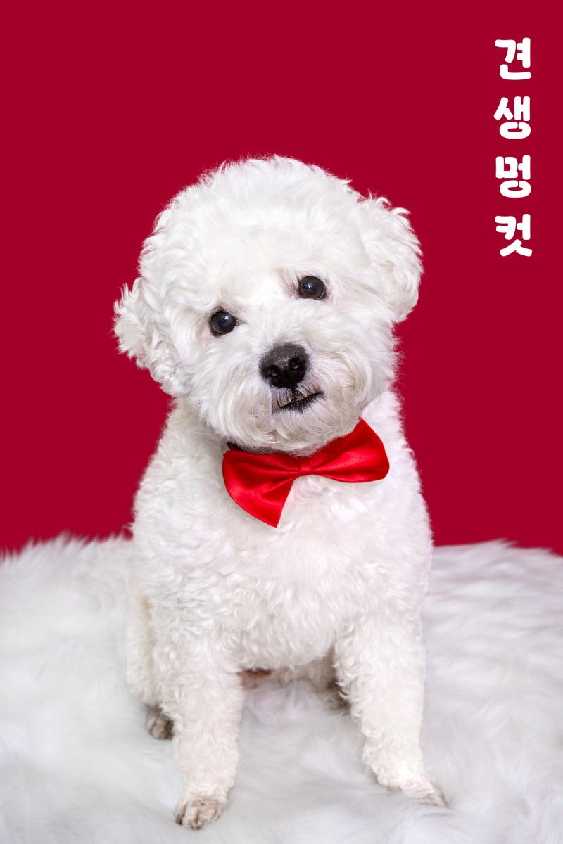 사진 3