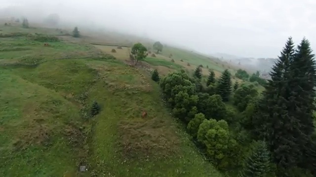  대전 아동심리상담 센터 , 자격증 직장인도 쉽게 합격한 팁 및 향후 전망