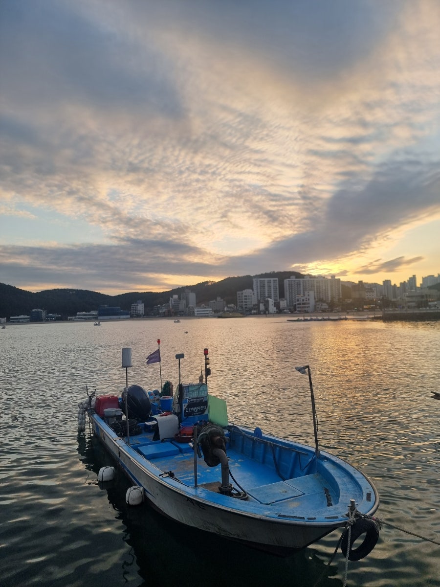 민수호 오선장 사진 1