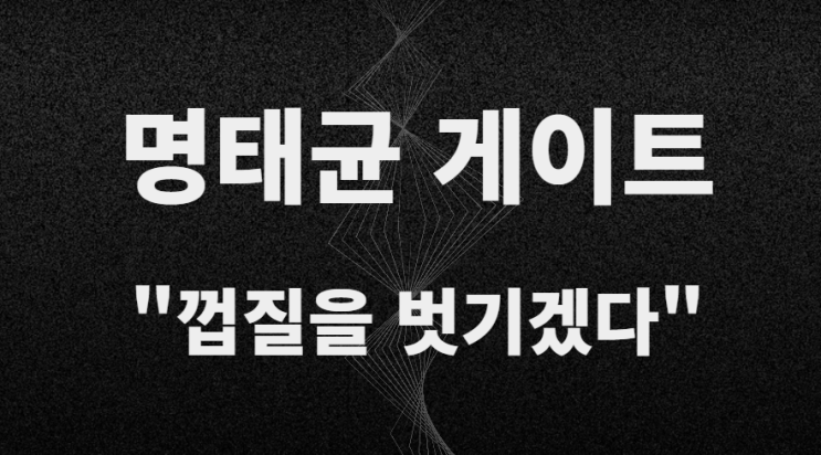 <b>명태균</b>과 <b>오세훈</b>, 홍준표 관계 정리 "껍질을 벗기겠다" 발언