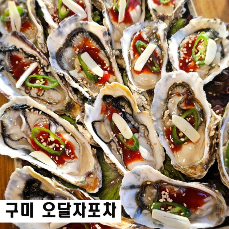  구미 봉곡동 술집 석화생굴 굴찜 맛집 오달자포차 과메기