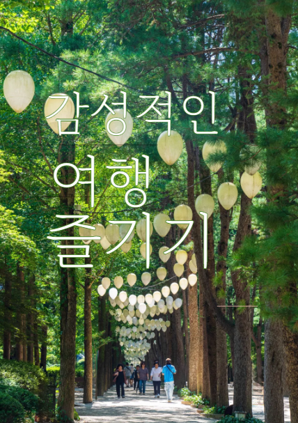  감성적인 남이섬 여행, 놓치면 아쉬운 즐길거리 추천!