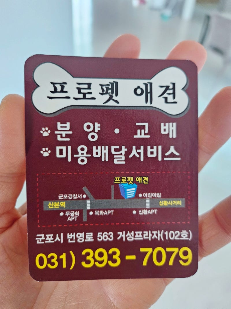 프로펫 애견샵