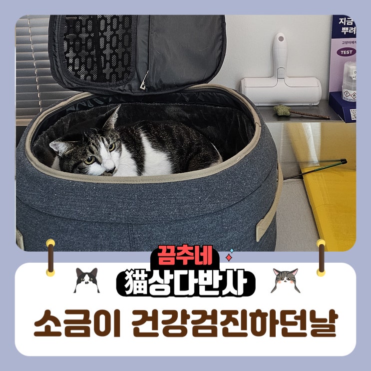  소금이 건강검진 하던날 흔한 자매의 이산가족 상봉기