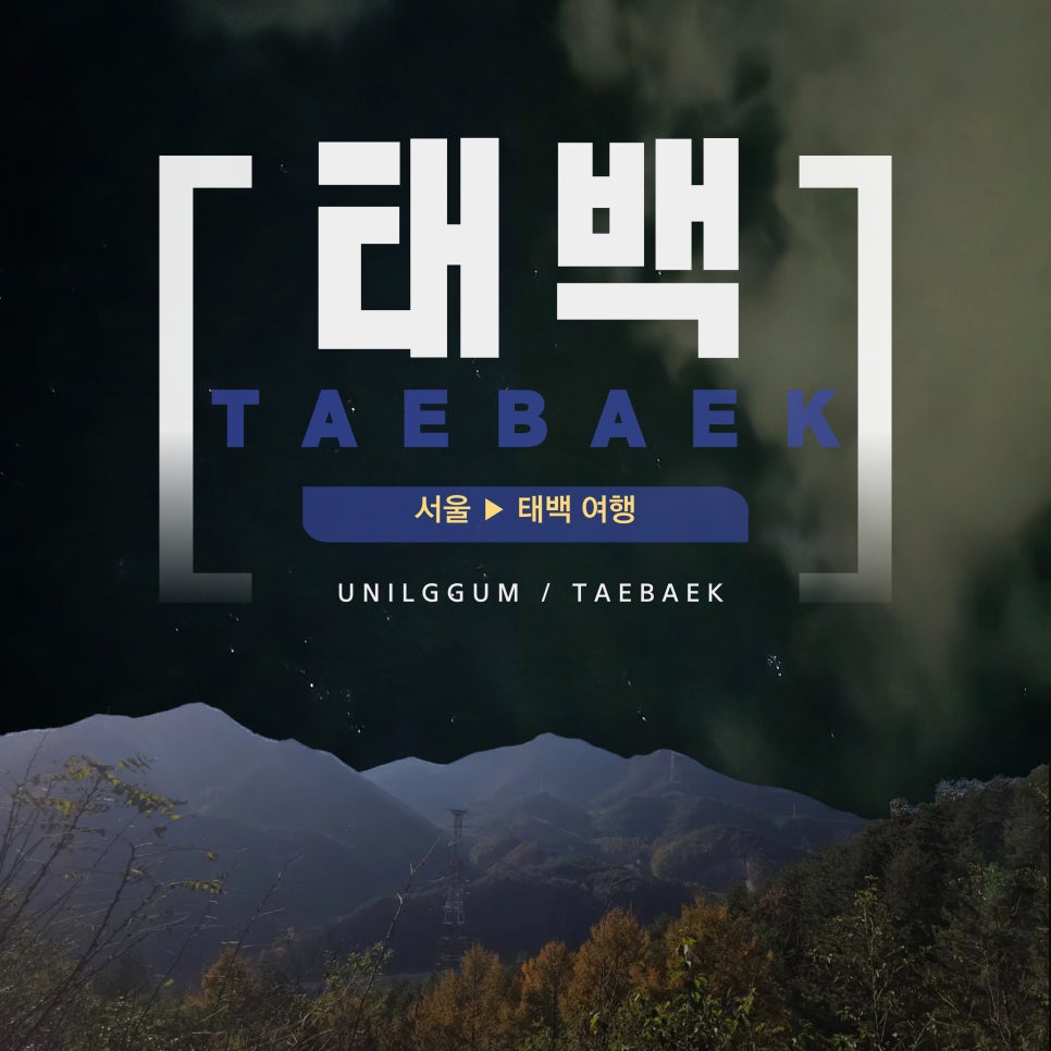 통리게스트하우스 사진 1
