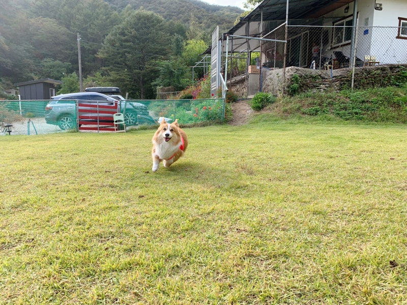 사진 12