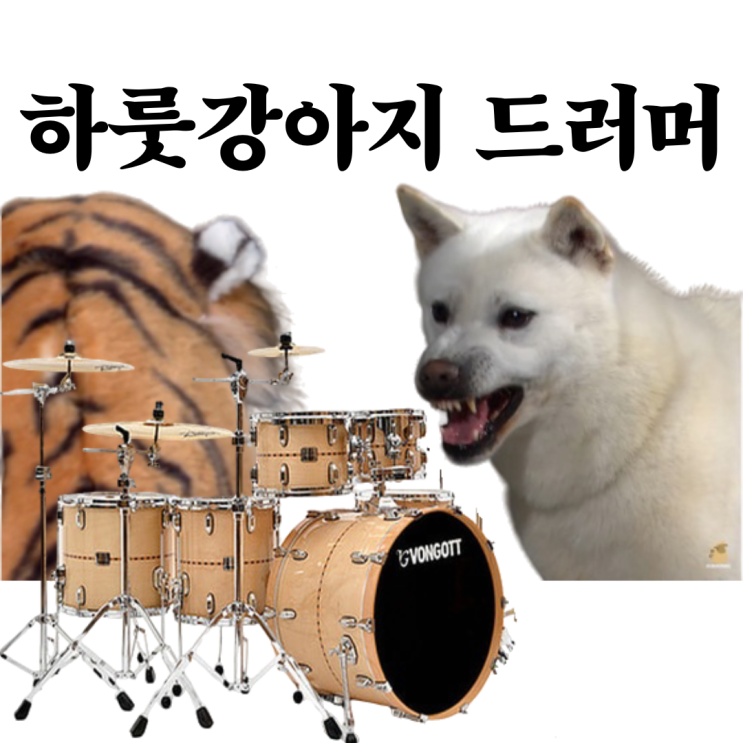  부산 드럼학원 19회차 레슨 후기 (하룻강아지 드러머)