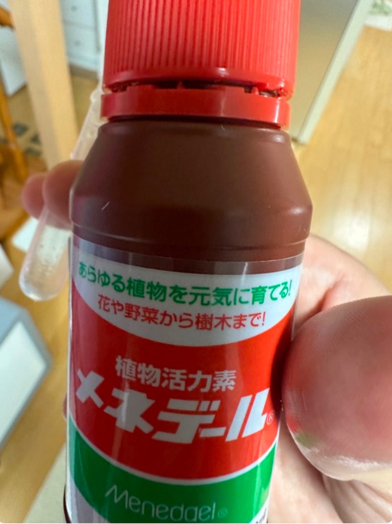 메네델 이해하기