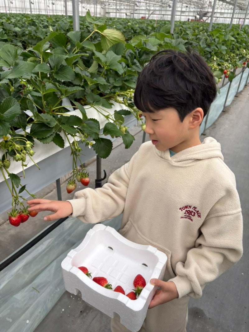 별이네