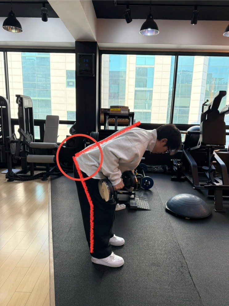  부천역pt 덤벨을 이용한 효과적인 팔 운동
