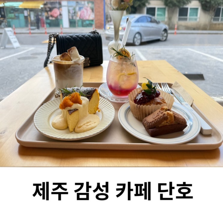  제주 감성 카페 아라동 카페 단호 제주도 디저트 맛집 추천