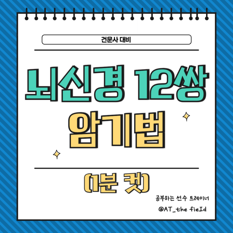  [건강운동관리사 필기] 뇌 신경 12쌍 이름, 담당 암기법(1분 컷) / 삼차신경, 미주신경, 활차신경, 외전신경 쉽게 그리기