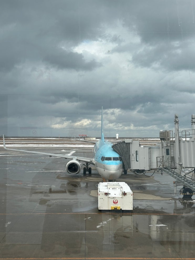  일본거주자한정 아멕스델타골드카드대한항공 니가타공항 니가타공항 라운지 이용후기 니가타공항에서 인천공항가는법