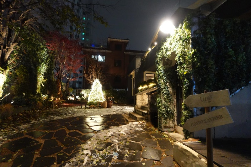 사진 5