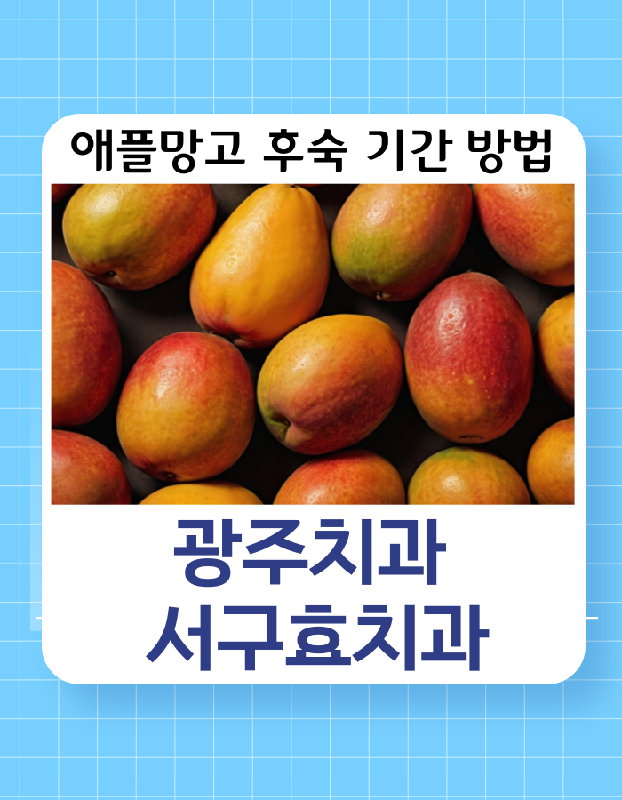 애플망고 후숙 방법 색깔 기간 확인 안하면?