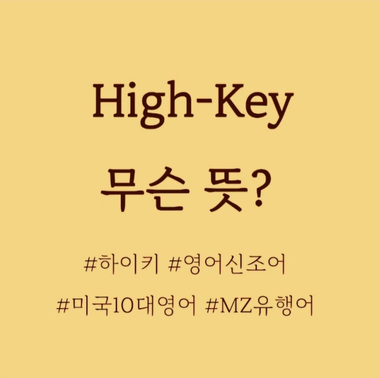 HighKey 무슨뜻? /영어신조어, 미국 MZ세대 영어
