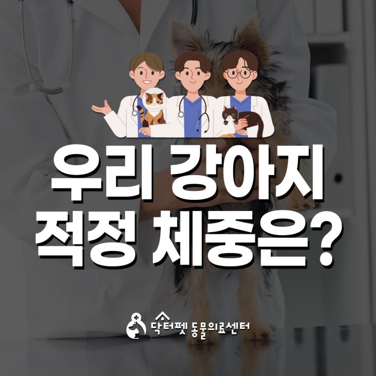  강아지 적정 체중 얼마? 어떻게 아나요? (부산건강검진동물병원 닥터펫동물의료센터)