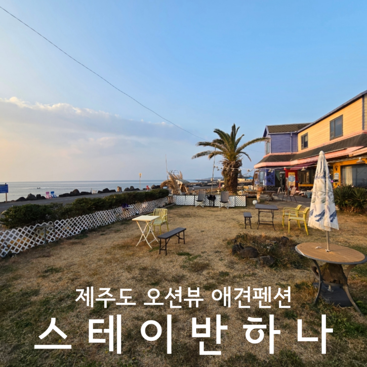  제주도 오션뷰 애견펜션 가성비 좋고 조식 주는 숙소 스테이반하나 내돈내산 후기