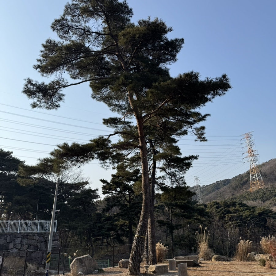 설티재 사진 4