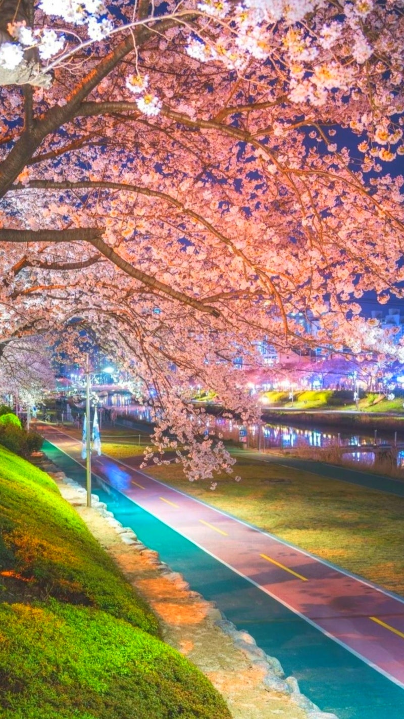 새로운 여름 봄 완벽한 자연 풍경, 아름다운, 풍경, 여름 배경 일러스트 및 사진 무료 다운로드 - Pngtree, image size:800x1423