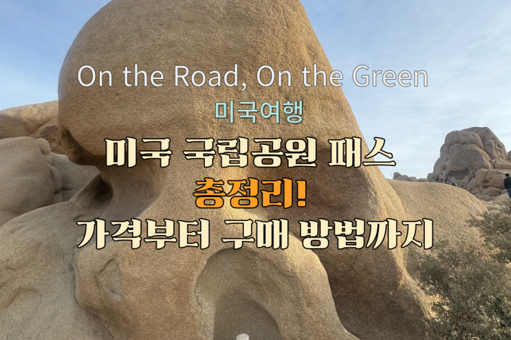  미국 국립공원 패스 총정리! 가격부터 구매 방법까지