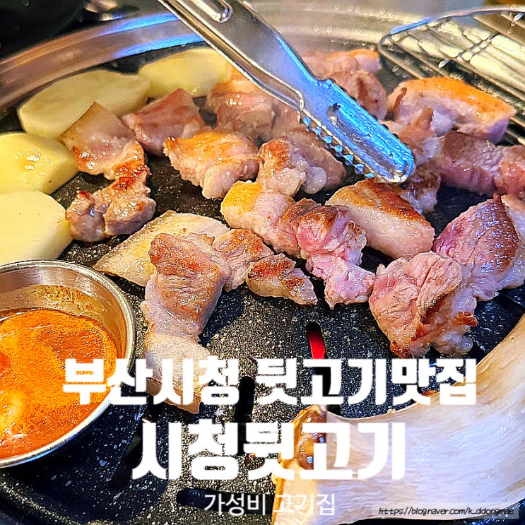  부산시청 뒷고기 맛집 '시청뒷고기' 쫀득한 뒷고기와 껍데기 맛집