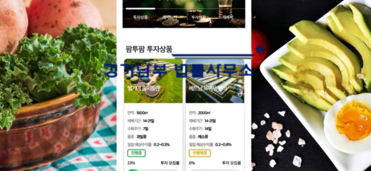  팜투팜 사기 집단소송 긴급상담 연락처