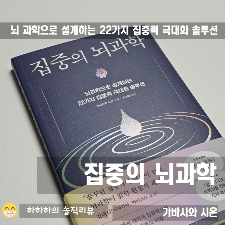  가바사와 시온의 집중의 뇌과학, 솔루션제시까지