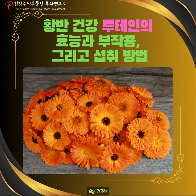  황반 건강 루테인의 효능과 부작용, 그리고 섭취 방법