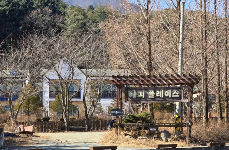 사진 3