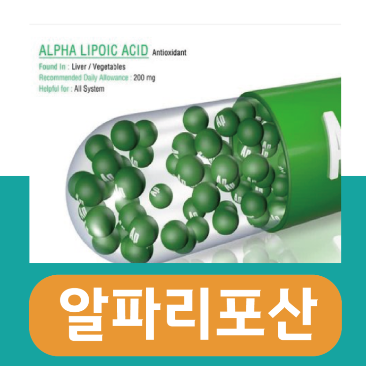  알파리포산(알리포산) 효능 부작용, 복용 권장량